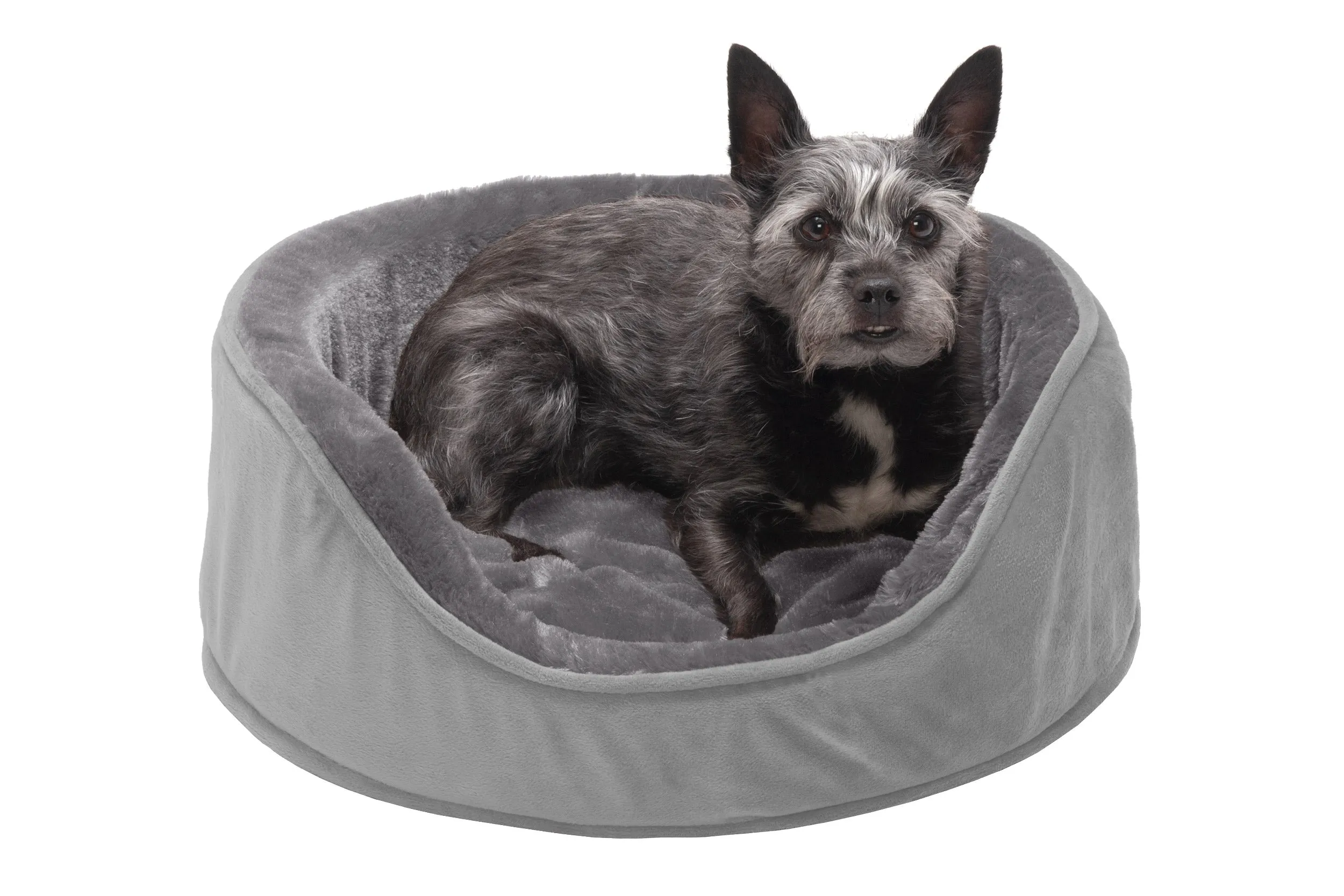 Oval Dog Bed - Plush & Velvet