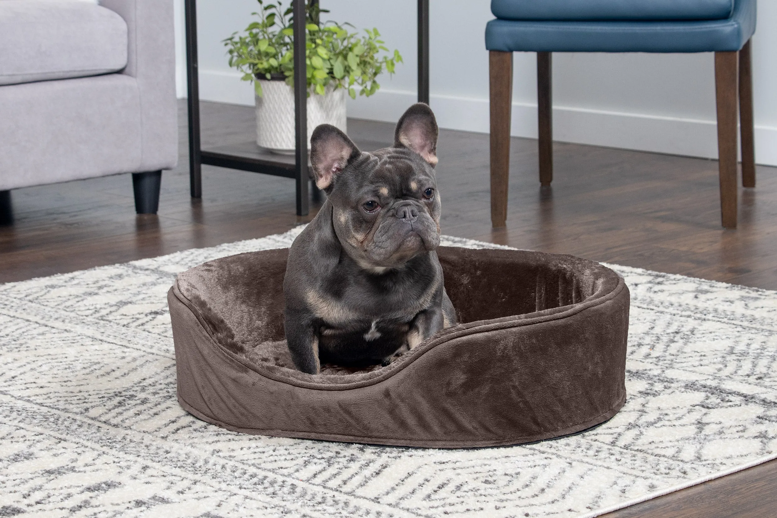 Oval Dog Bed - Plush & Velvet