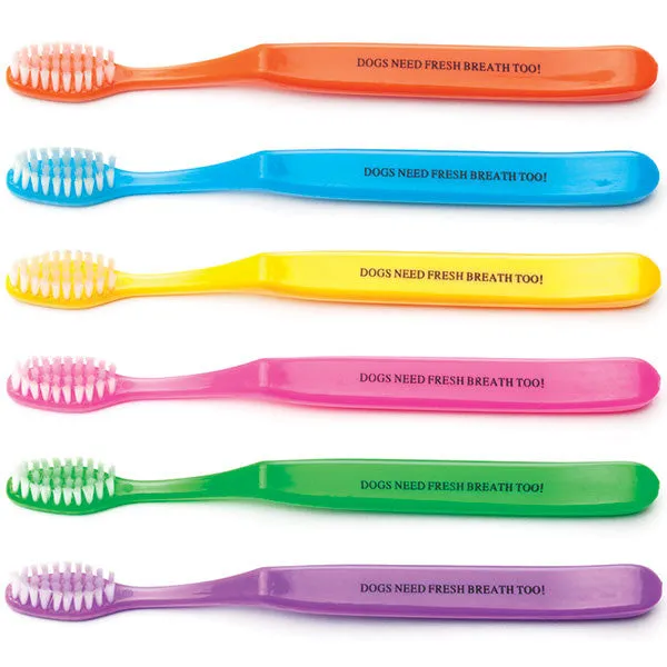 Pediatric-Sized Personalized Toothbrushes