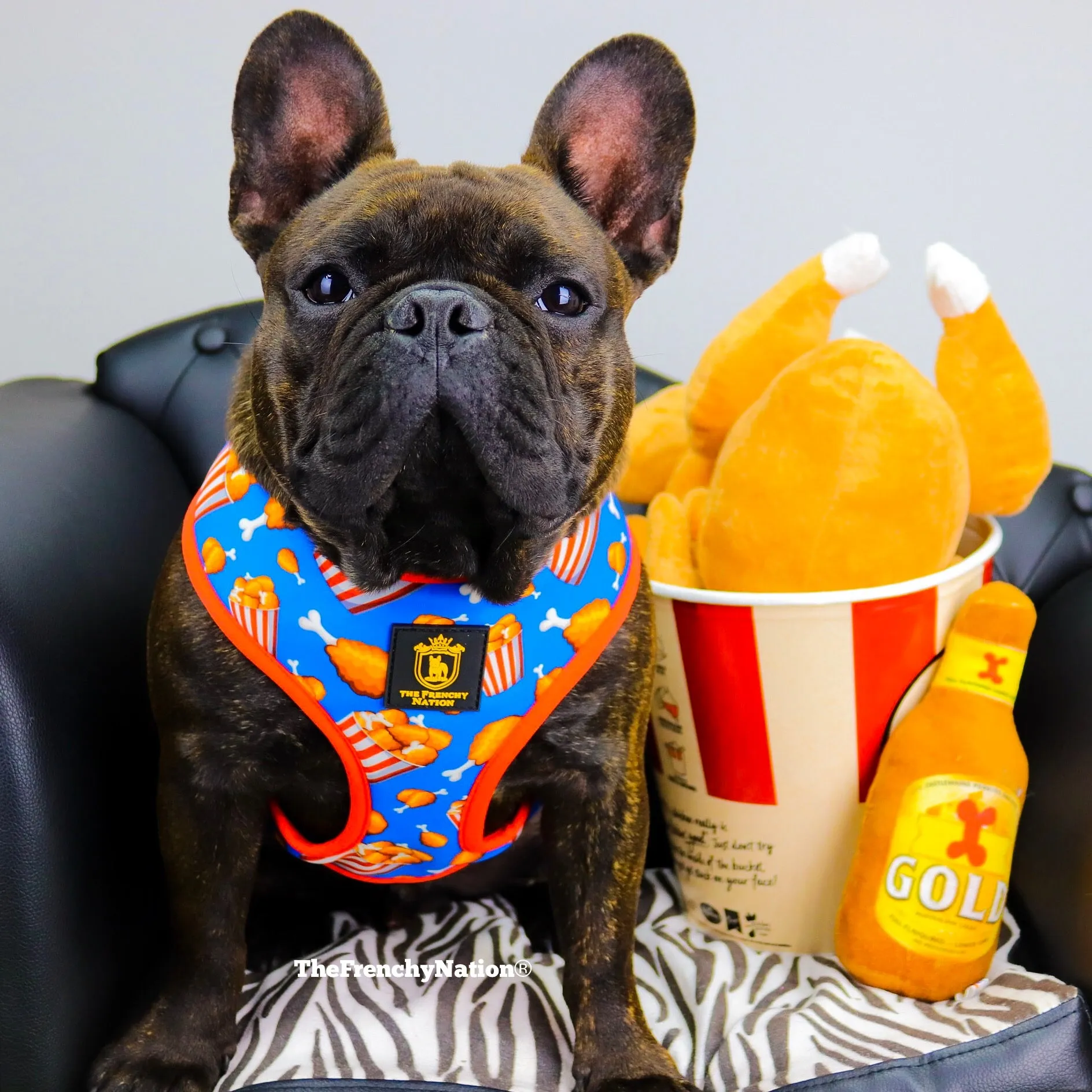 "Finger Licking Good" Reversible Harness