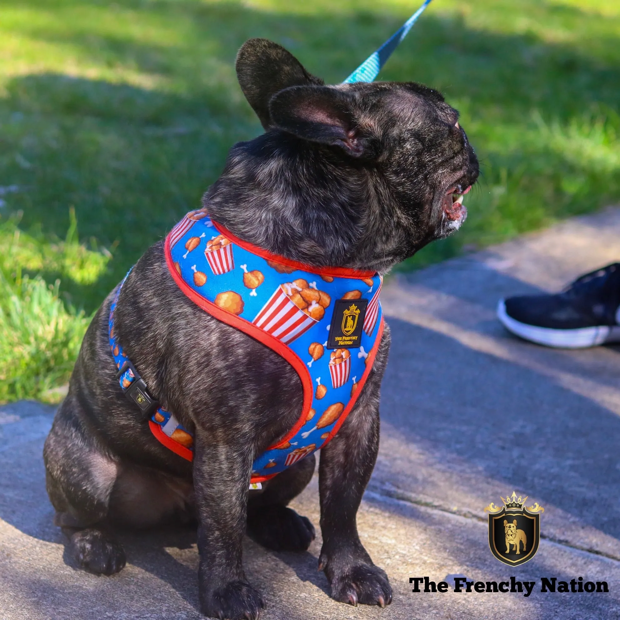 "Finger Licking Good" Reversible Harness