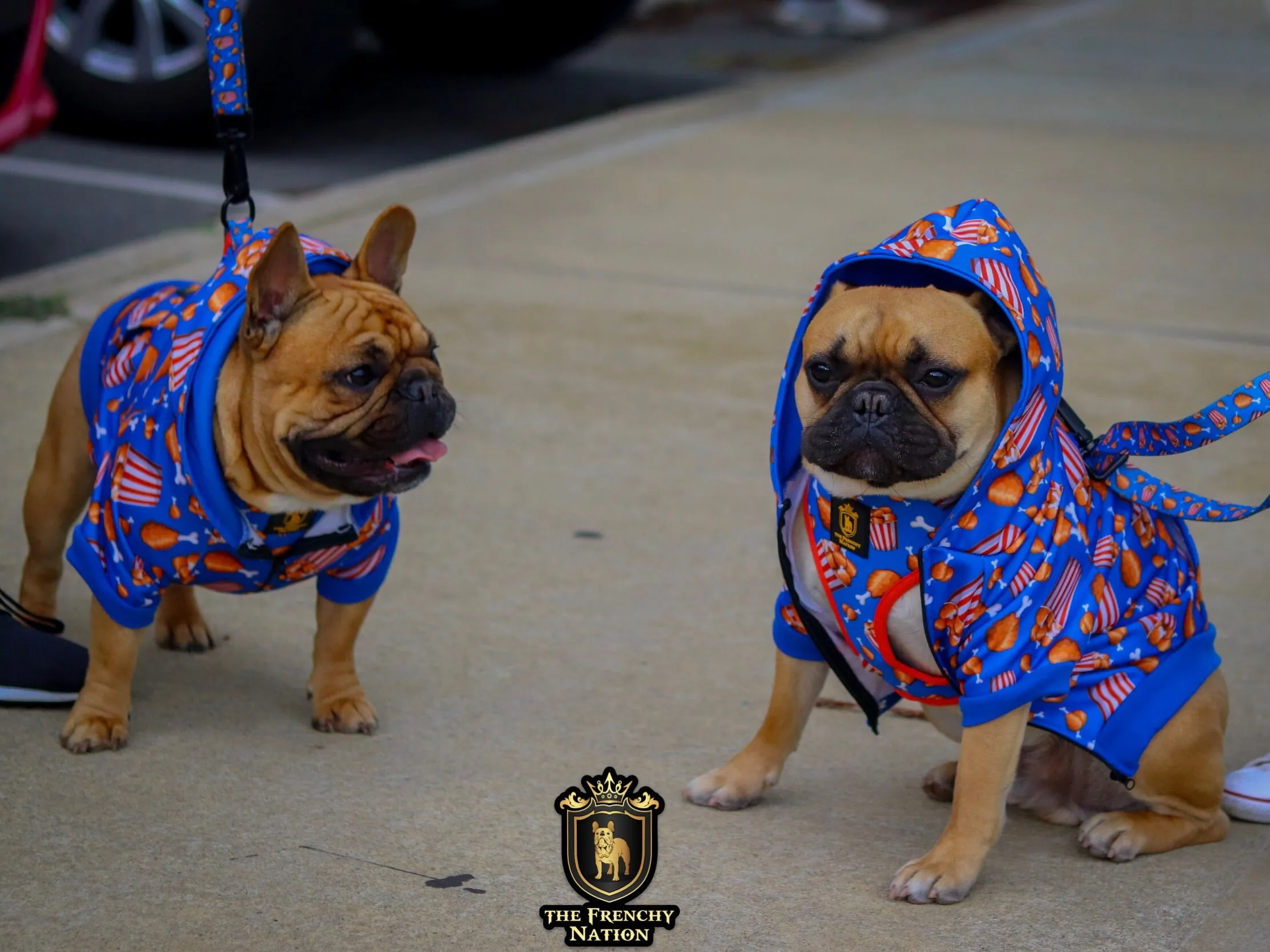 "Finger Licking Good" Reversible Harness