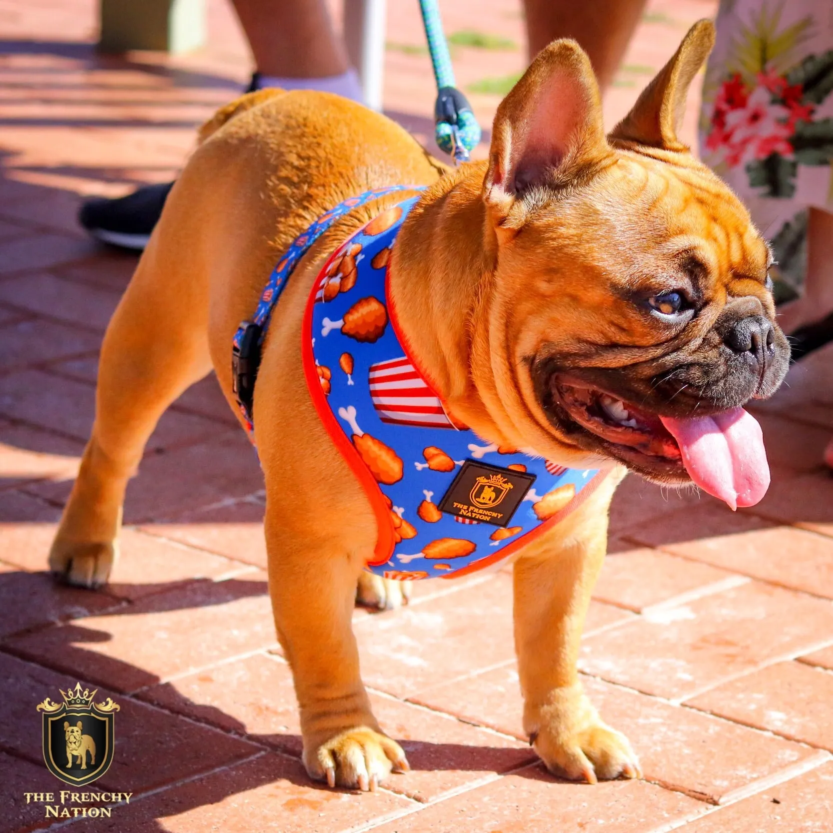 "Finger Licking Good" Reversible Harness