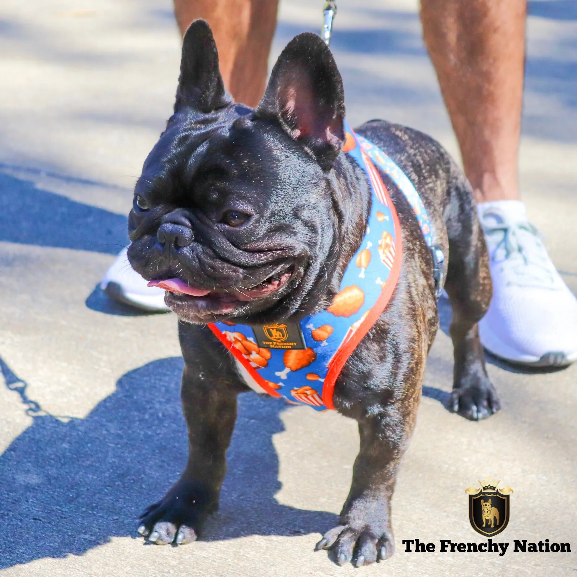 "Finger Licking Good" Reversible Harness