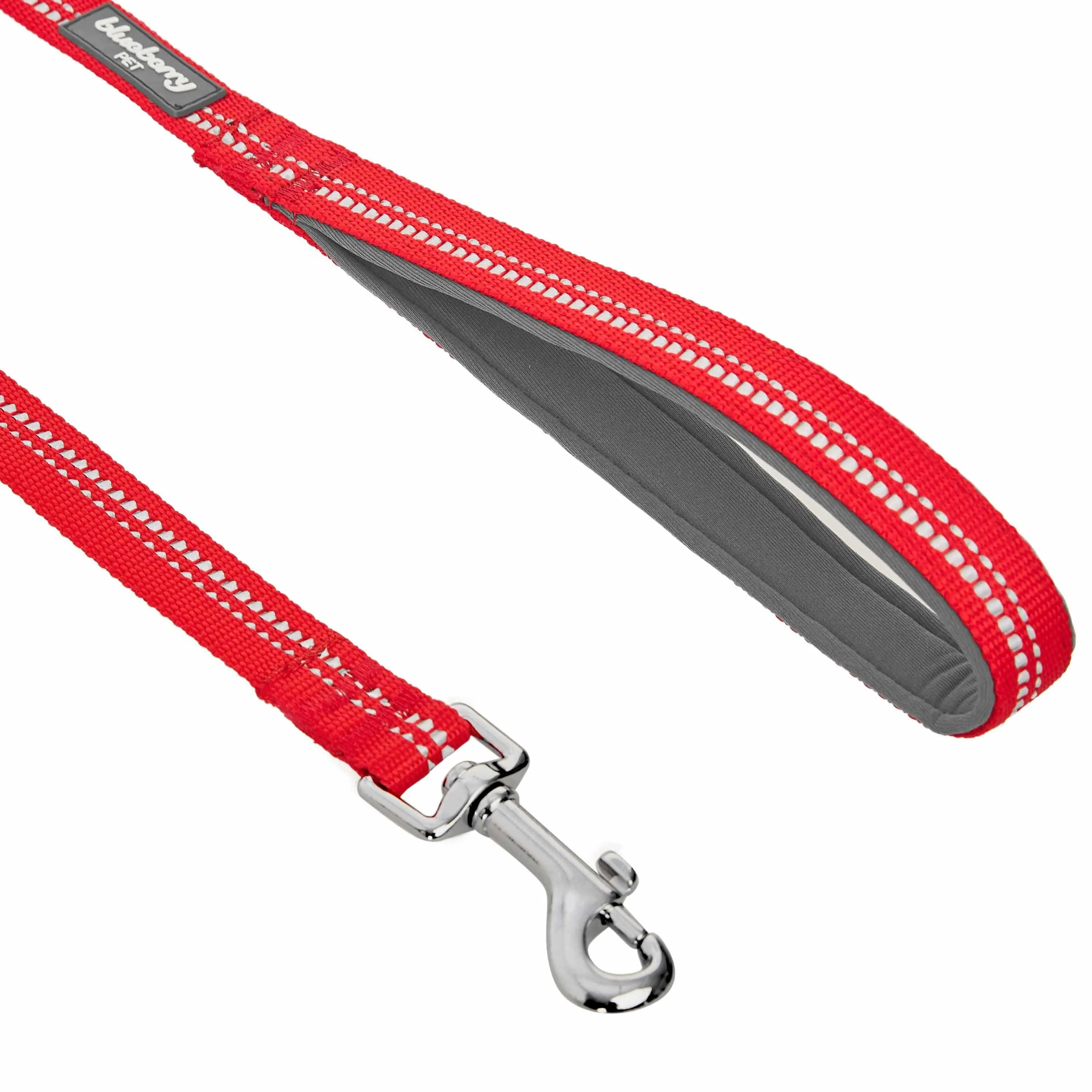 Reflective Hues of Spring | 3M Reflective Neoprene Padded Dog Leash