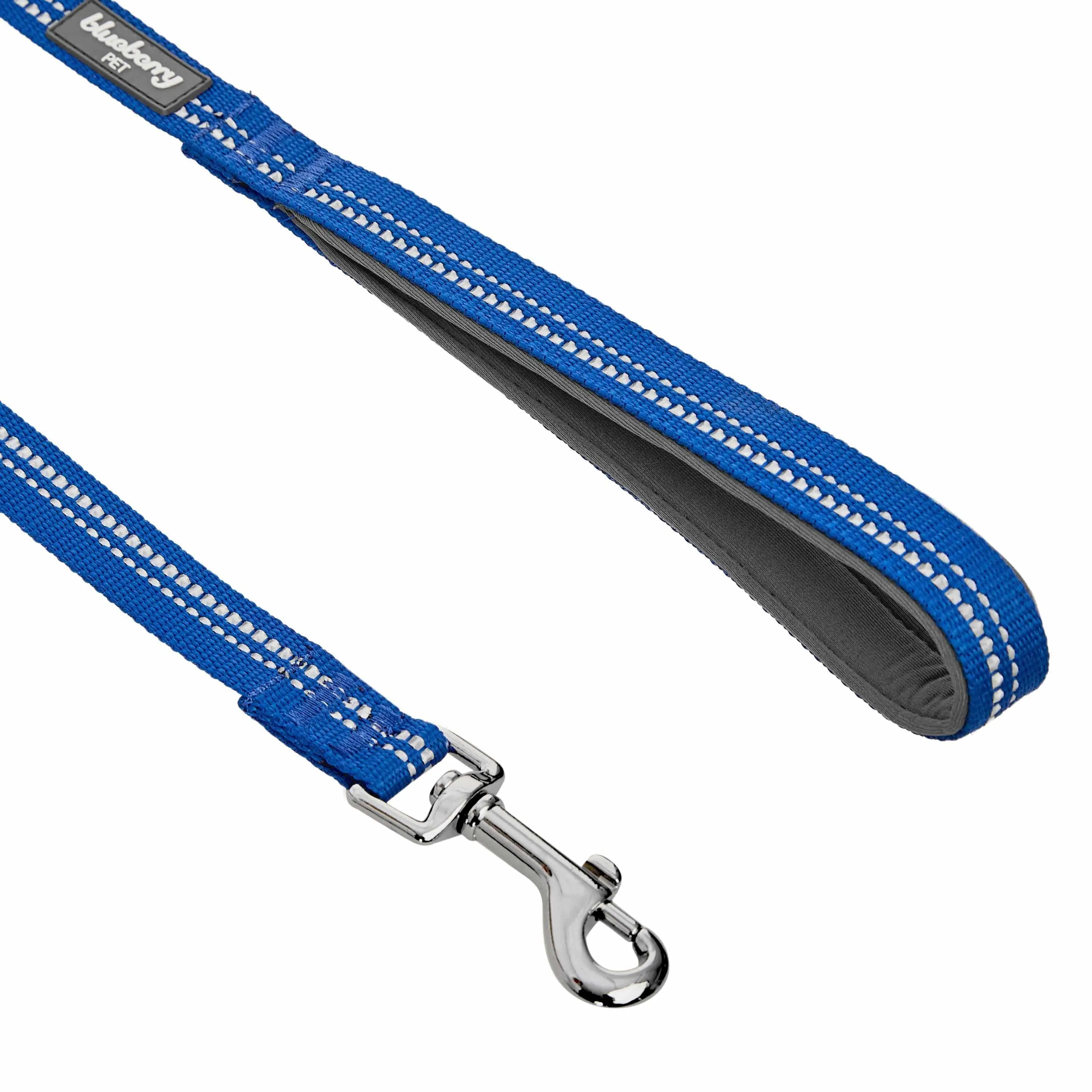 Reflective Hues of Spring | 3M Reflective Neoprene Padded Dog Leash