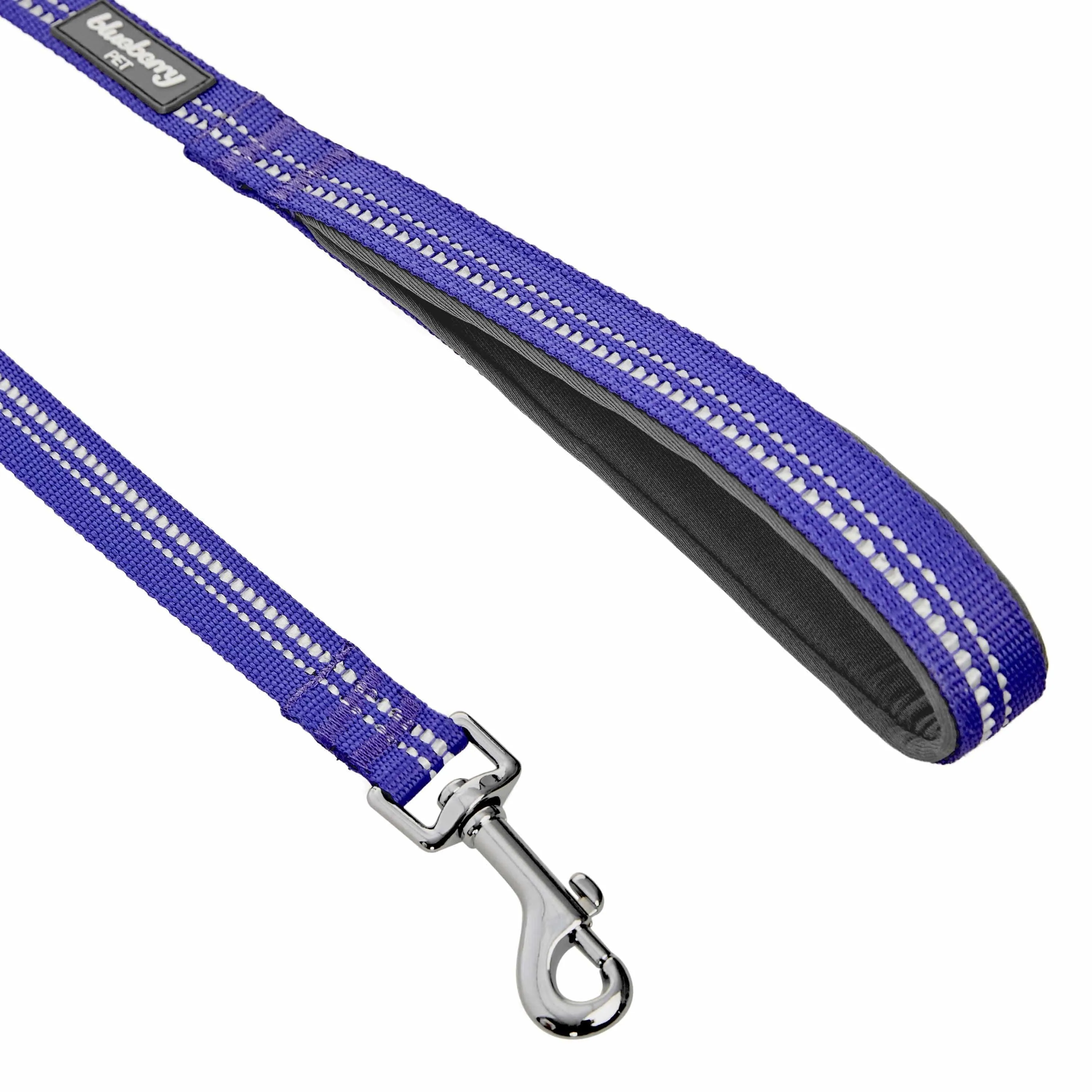 Reflective Hues of Spring | 3M Reflective Neoprene Padded Dog Leash