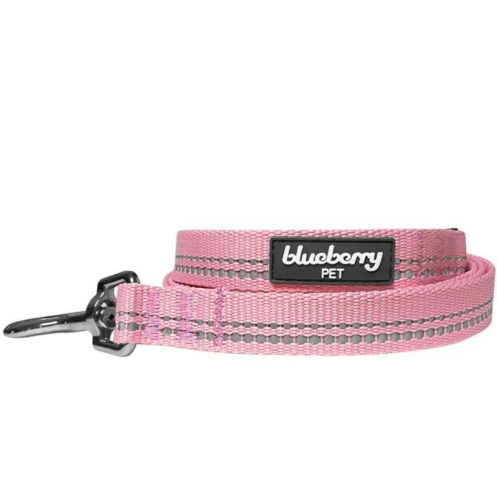 Reflective Hues of Spring | 3M Reflective Neoprene Padded Dog Leash