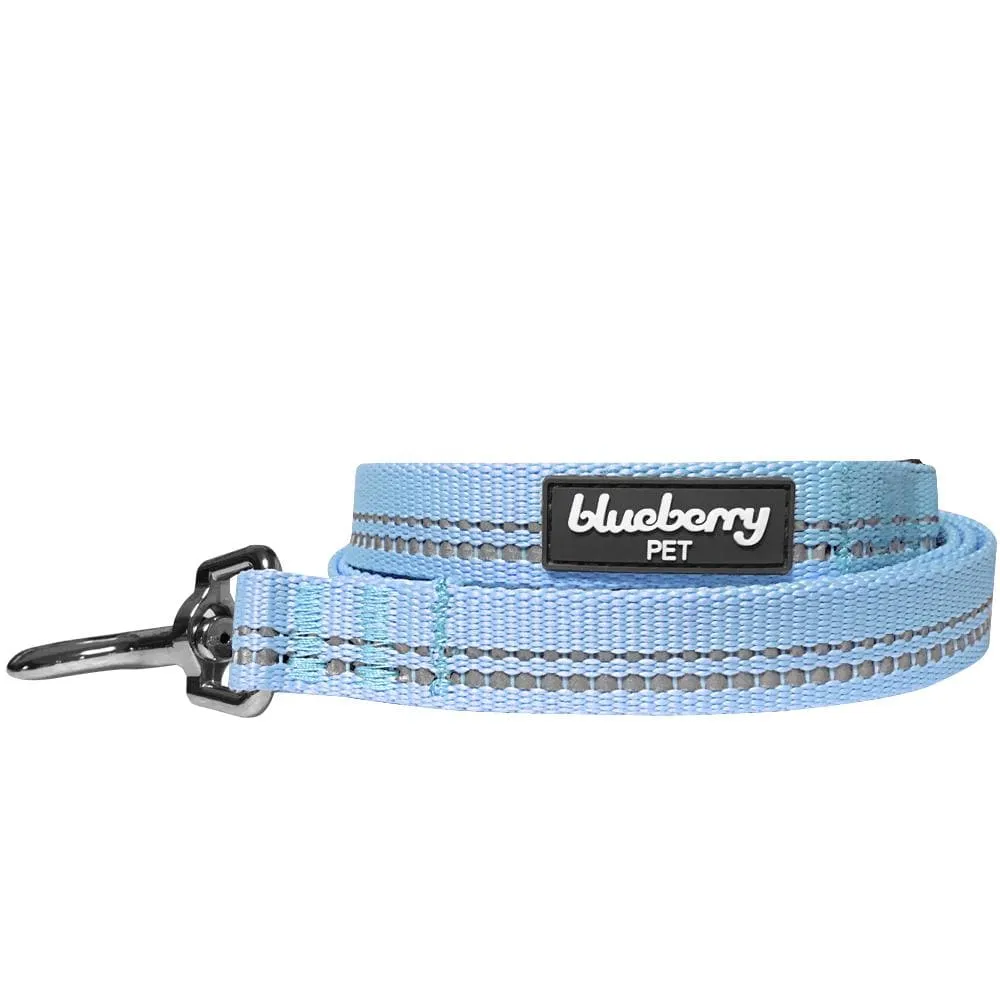 Reflective Hues of Spring | 3M Reflective Neoprene Padded Dog Leash