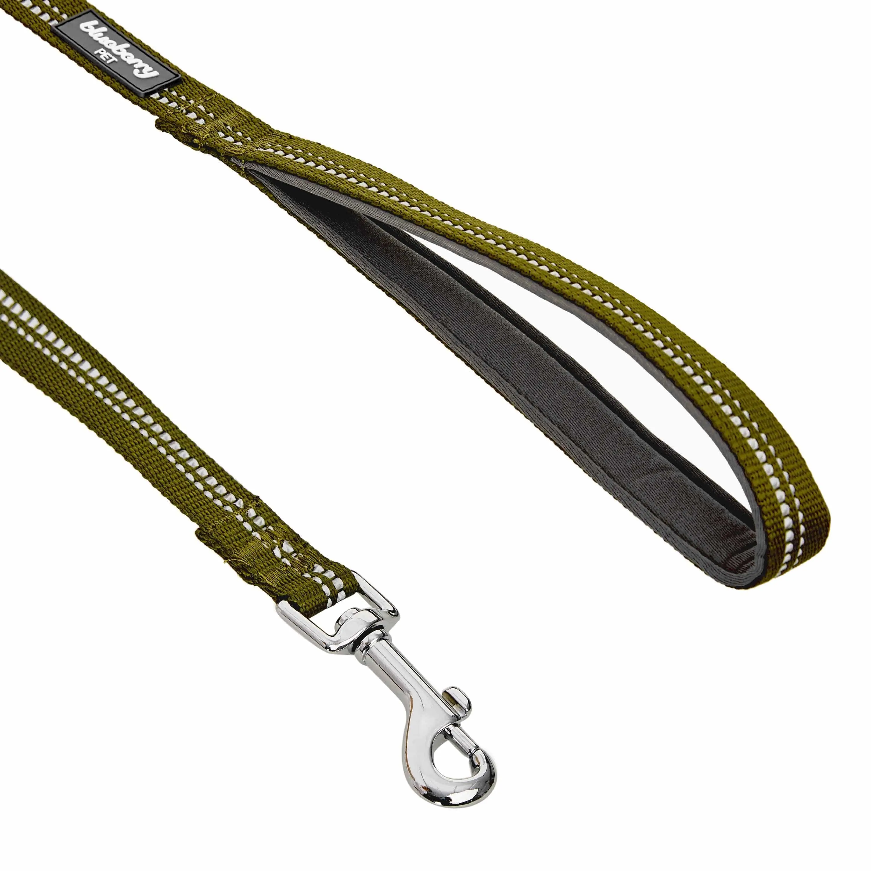 Reflective Hues of Spring | 3M Reflective Neoprene Padded Dog Leash