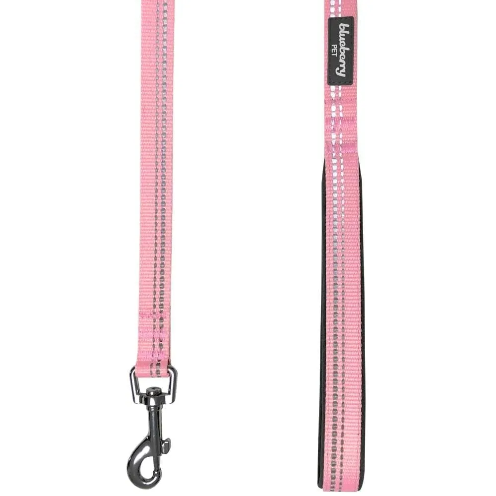 Reflective Hues of Spring | 3M Reflective Neoprene Padded Dog Leash