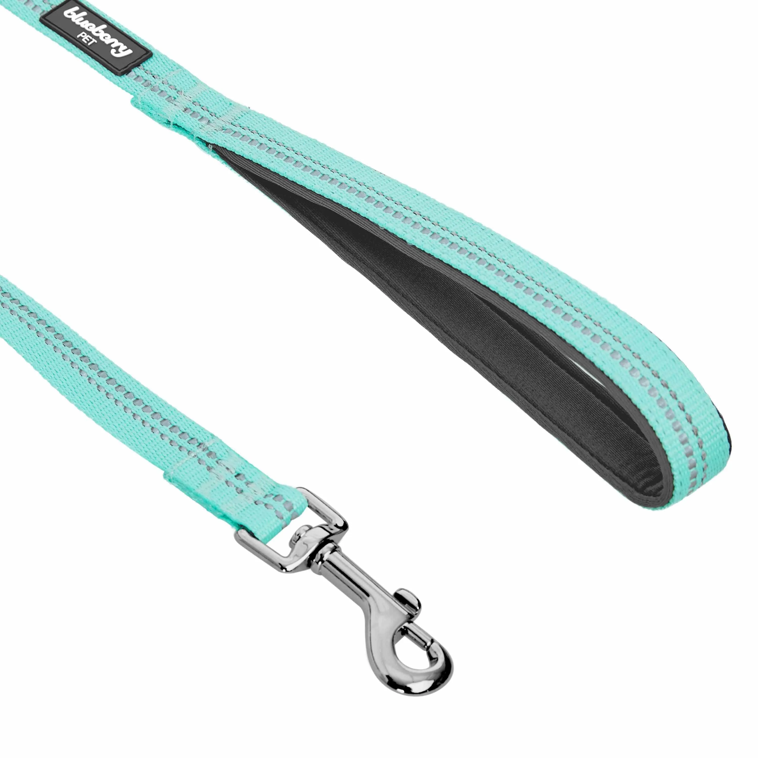 Reflective Hues of Spring | 3M Reflective Neoprene Padded Dog Leash