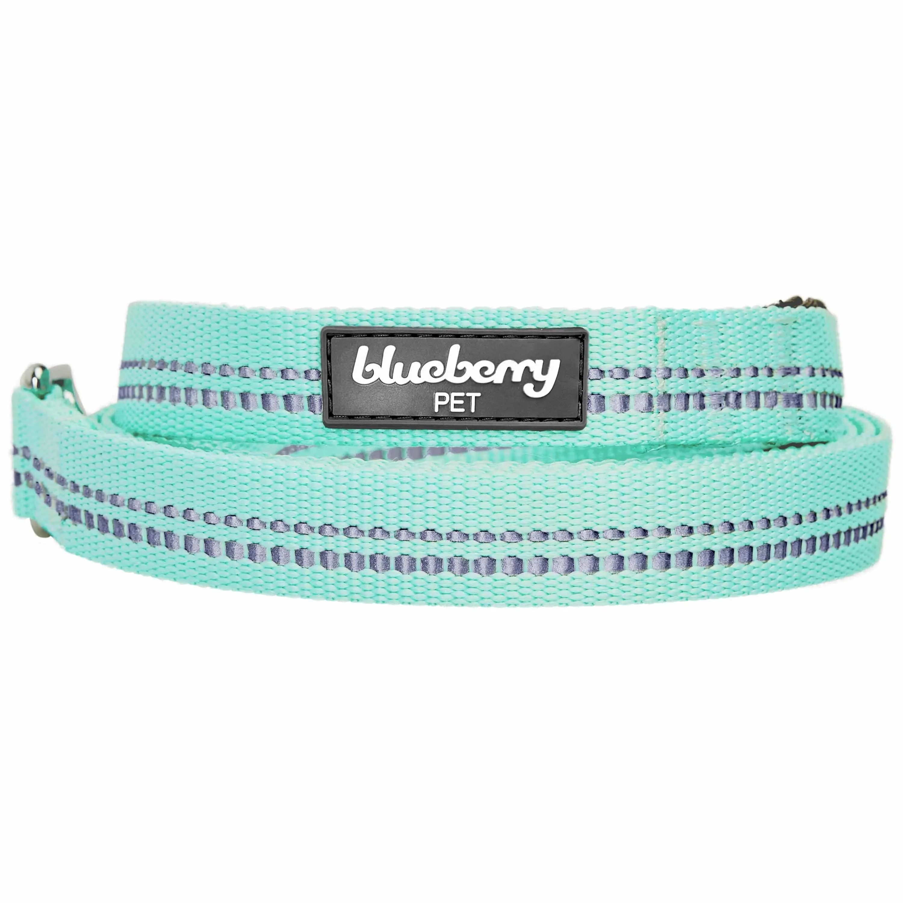 Reflective Hues of Spring | 3M Reflective Neoprene Padded Dog Leash