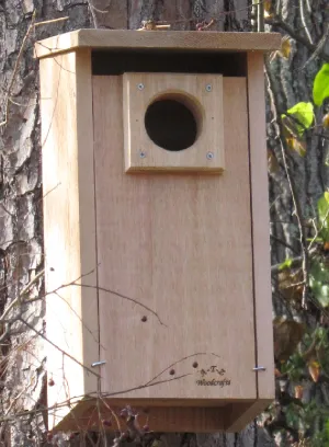 Screech Owl / Kestrel Nestbox