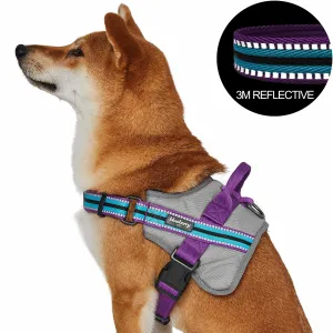 Service K-9 | 3M Reflective Dog Harness in Multi-colored Stripes