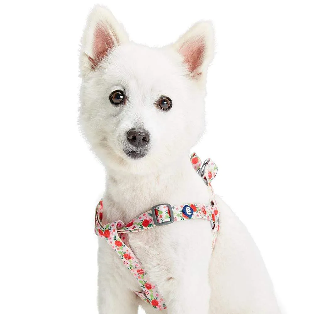 Spring Scent Inspired Garden Floral Dog Harness