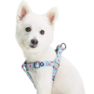 Spring Scent Inspired Garden Floral Dog Harness