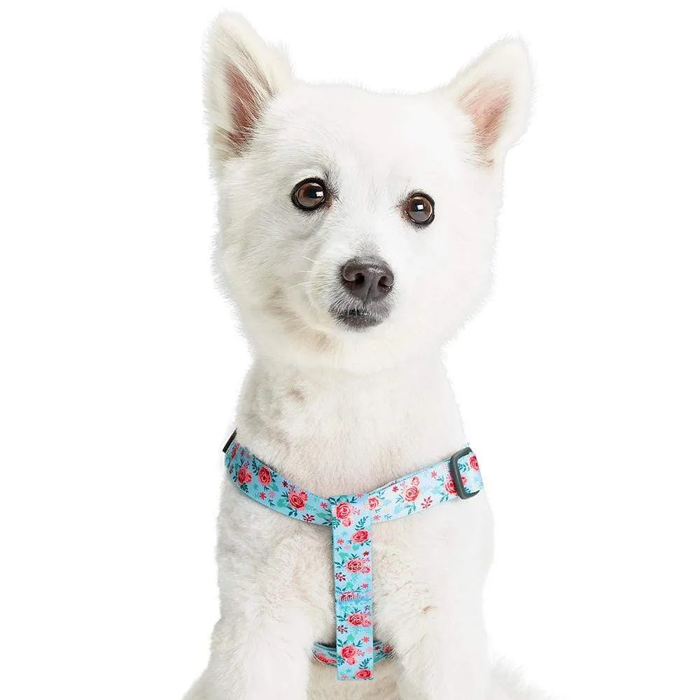 Spring Scent Inspired Garden Floral Dog Harness