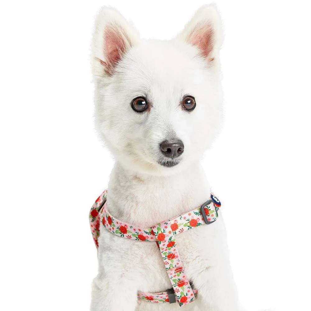 Spring Scent Inspired Garden Floral Dog Harness