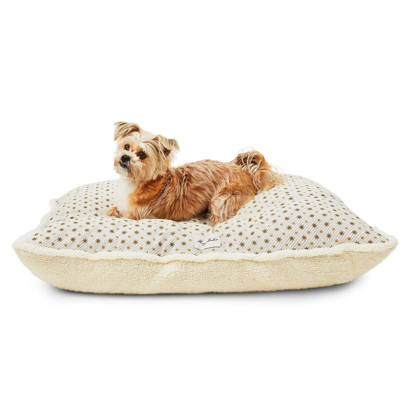 Stargazer Envelope Dog Bed Cover