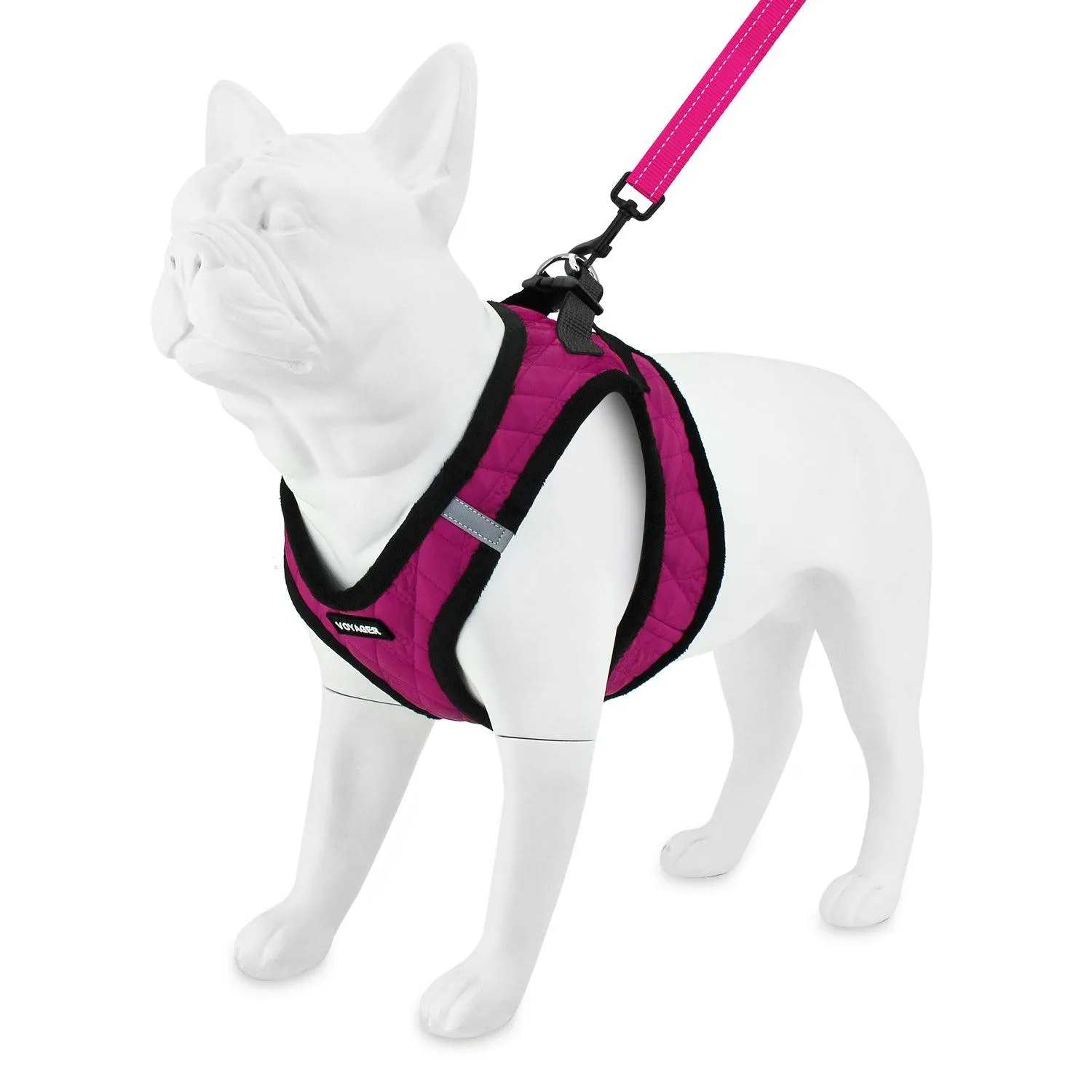 Step-In Plush Harness & Leash Set