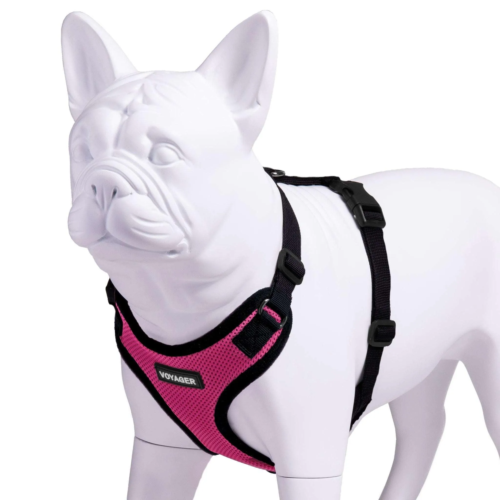 Valentine Step-In Lock Pet Harness