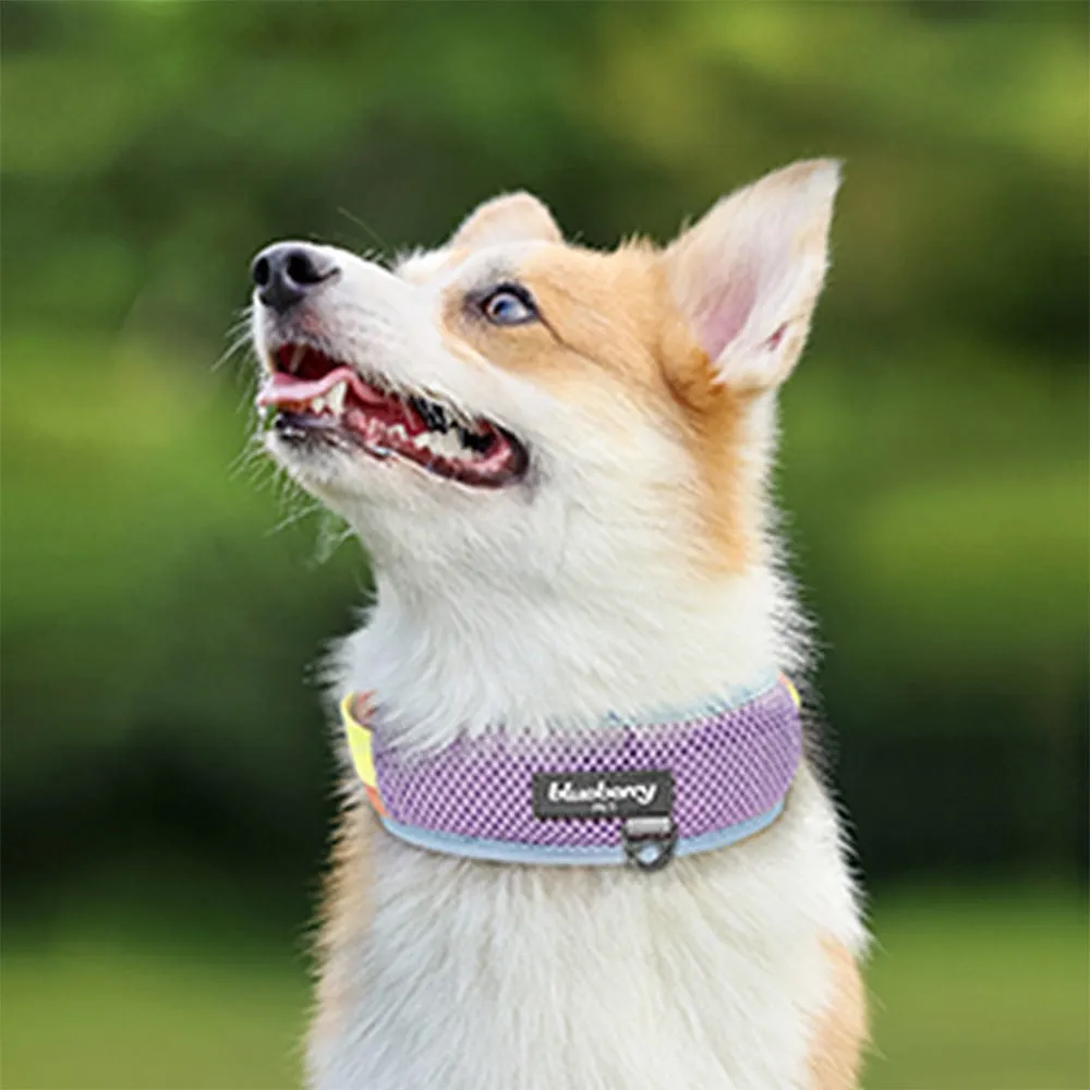 Vibrant Mesh Padded Ultra Cool Lightweight Dog Collar