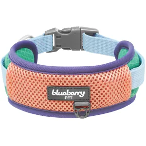 Vibrant Mesh Padded Ultra Cool Lightweight Dog Collar